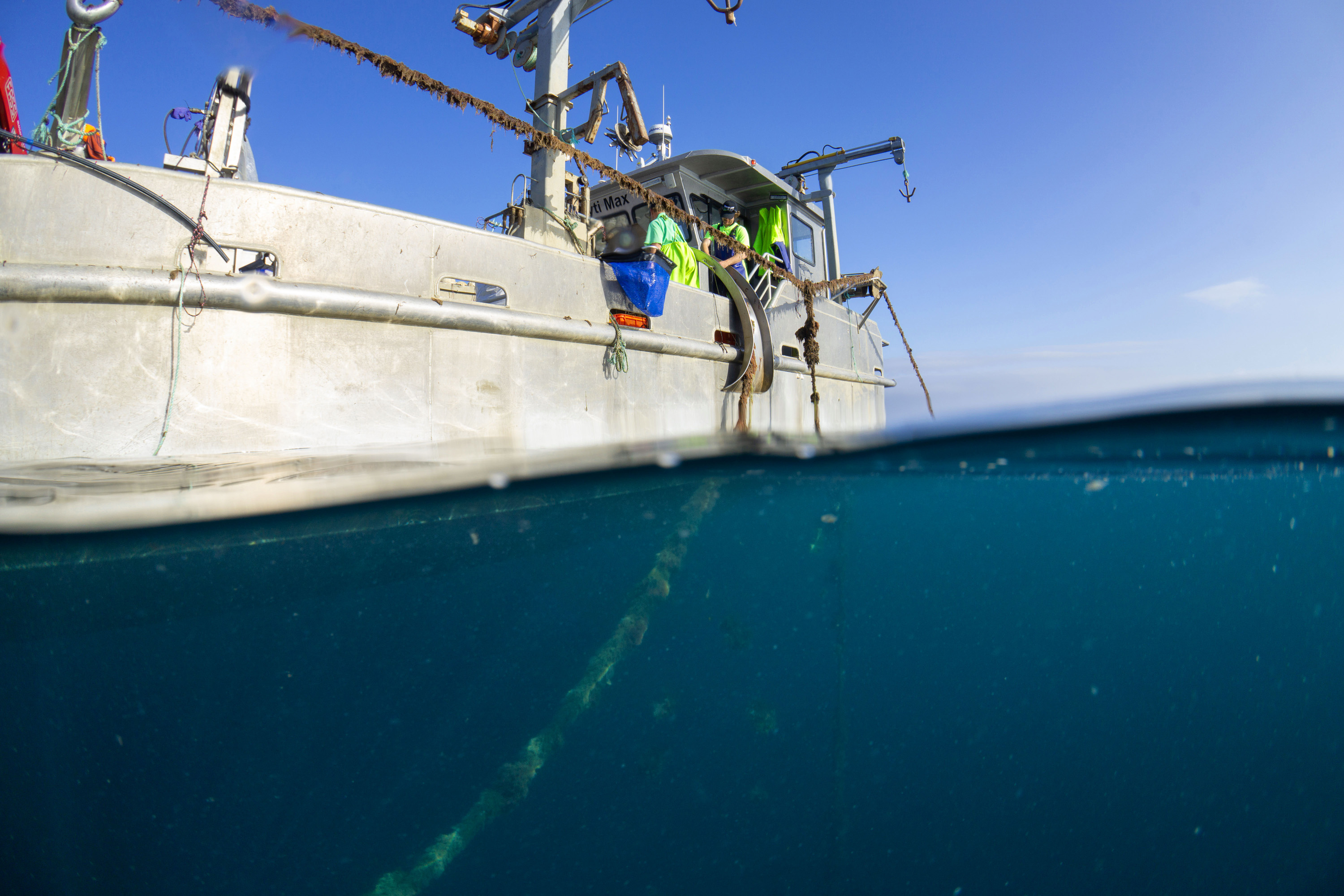 Sea Forest X 4 Pines